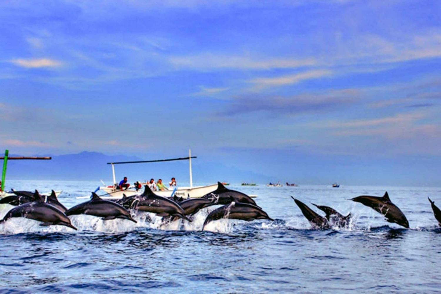 lovina bali : Observation des dauphins, chute d'eau et déjeuner local