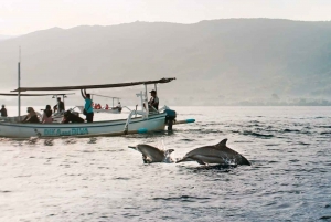 Lovina Bali: Sonnenaufgang Delfinbeobachtung, Schwimmen und Schnorcheln