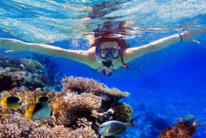 Lovina/Bali: Watching dolphin, Swimming & Snorkeling tickets