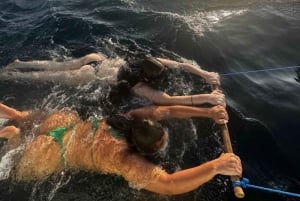 Lovina/Bali: Dolfijn kijken, tickets zwemmen & snorkelen