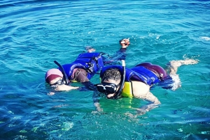 Lovina Beach: Sunrise Dolphin-Watching and Snorkeling Cruise