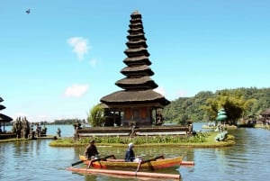 Lovina Dolphin and North Bali Sightseeing - All Inclusive