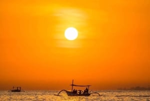Lovina: Dolphin Sunset Tour with Snorkeling & Swimming