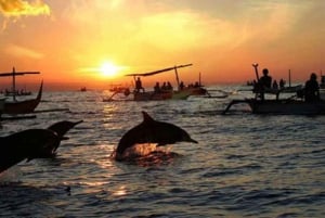 Lovina: Dolphin Sunset Tour with Snorkeling & Swimming