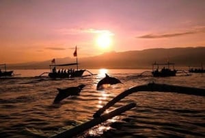 Lovina: Dolphin Sunset Tour with Snorkeling & Swimming