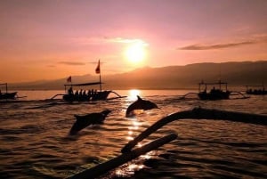 Lovina : Sunrise Dolphin Tour Snorkeling, Waterfall & Temple