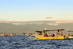 Lovina: Dolphin Watching, Ocean Swing, and Snorkeling Tour