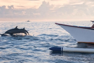 Lovina: Dolphin Watching, Ocean Swing, and Snorkeling Tour