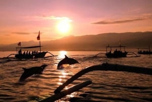 Lovina: Dolphin Watching, Ocean Swing, and Snorkeling Tour