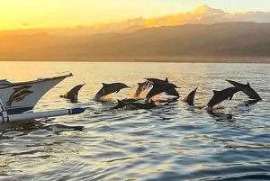 Lovina: Dolphin Watching, Ocean Swing, and Snorkeling Tour