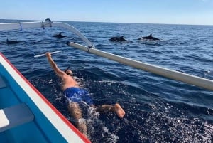 Lovina bali: Dolphin, Snorkeling, Waterfalls fun activities
