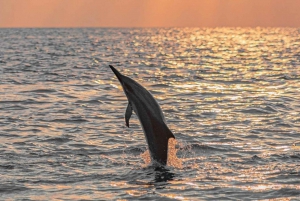 Best Lovina Sunrise Dolphin Private Boat