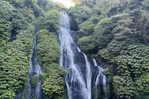 Bali Nord: Delfino, Tempio di Ulun Danu e Cascata di Banyumala