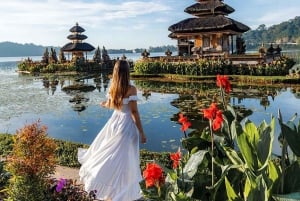 Bali Nord: Delfino, Tempio di Ulun Danu e Cascata di Banyumala