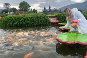 Bali Nord: Delfino, Tempio di Ulun Danu e Cascata di Banyumala