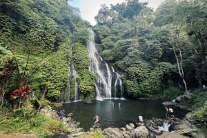 Bali Nord: Delfino, Tempio di Ulun Danu e Cascata di Banyumala