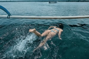 Bali Nord: Delfino, Tempio di Ulun Danu e Cascata di Banyumala