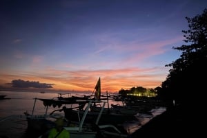 Bali Nord: Delfino, Tempio di Ulun Danu e Cascata di Banyumala