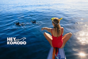 Lovina Tour: Oglądanie, pływanie z delfinami i snorkeling