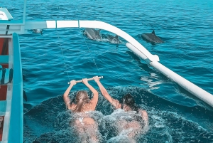 Lovina: Watching, Swimming with Dolphins & Coral Snorkeling