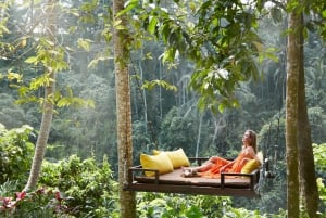 Lunch or Brunch at Awana Pool & Forest Spa Experience