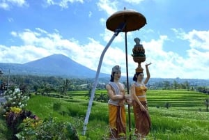 Mai Organic Farm Tour + Cooking Class