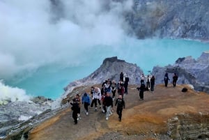 マランから：トゥンパクセウ、ブロモ、イジェン、バリ島3日間（2泊）