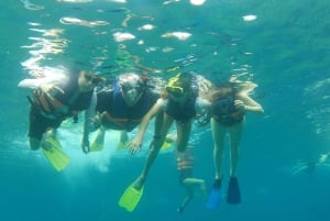 Tour di snorkeling con le mante: Esplora i 4 punti preferiti per lo snorkeling