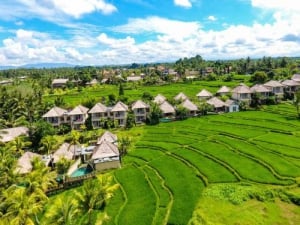 Mesari Hotel Ubud