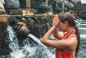 Monkey Forest, Swing, Rice Terrace & Water Temple Tour