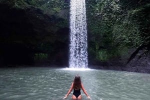 Monkey Forest, Swing, Rice Terrace & Water Temple Tour
