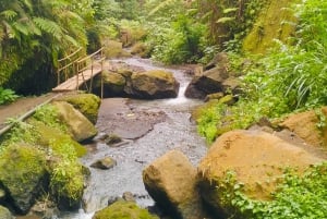 Monkey Forest, Tirta empul, Gunung Kawi, Tegalalang