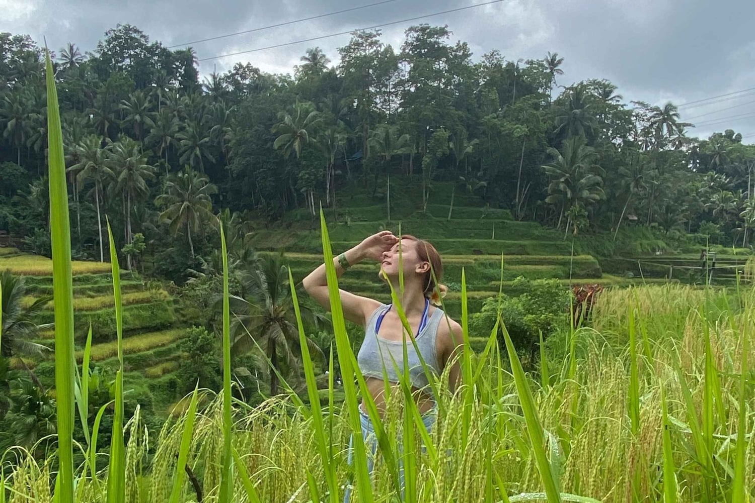 Apenbos, waterval, tempel en rijstterras