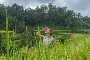 Apenbos, waterval, tempel en rijstterras