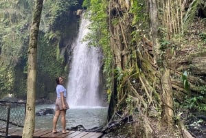 Apenbos, waterval, tempel en rijstterras