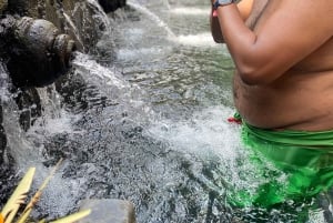 Apenbos, waterval, tempel en rijstterras