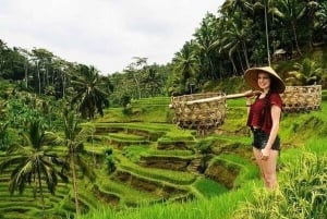 Apenbos, waterval, tempel en rijstterras