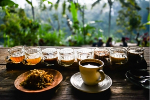 Mount Agung Trek: Sunrise Climb & Cultural Insights