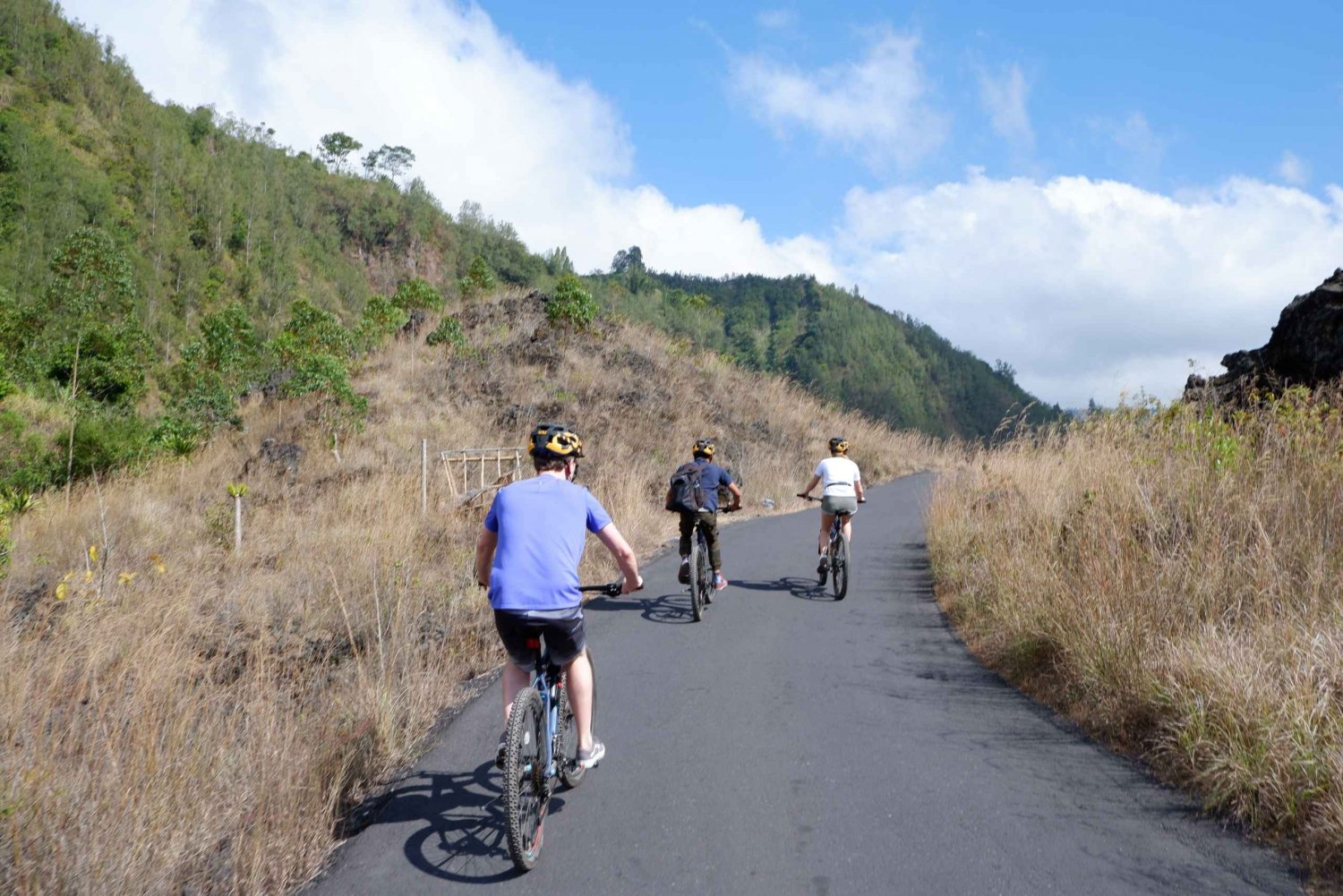 Mount Batur: Black Lava Cycling Tour w/ Natural Hot Spring