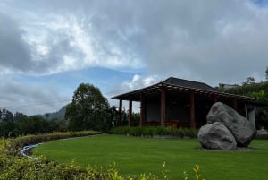 Góra Batur: wycieczka rowerowa po czarnej lawie z naturalnymi gorącymi źródłami