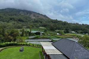 Mount Batur: Black Lava Cycling Tour w/ Natural Hot Spring