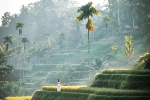 Monte Batur: avventura in jeep all'alba con opzioni di tour a Ubud