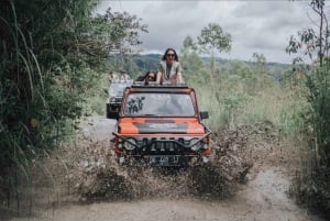 Mount Batur Sonnenaufgang und Black Lava Jeep Abenteuer