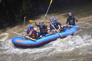 Amanecer en el Monte Batur y Rafting - Tour privado
