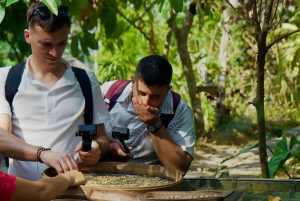 Mont Batur : coucher de soleil et lever de soleil en Jeep 4WD avec photographe