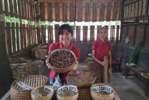 Trekking no Monte Batur - Nascer do sol - Primavera quente - Plantações de café