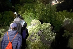 Trekking sul Monte Rinjani: 3 giorni/2 notti, vetta, lago e sorgenti termali