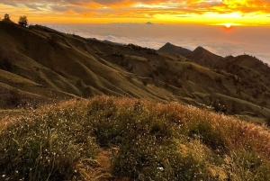 Trekking sul Monte Rinjani: 3 giorni/2 notti, vetta, lago e sorgenti termali