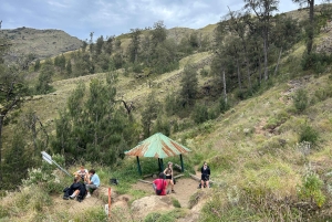 Trekking sul Monte Rinjani: 3 giorni/2 notti, vetta, lago e sorgenti termali