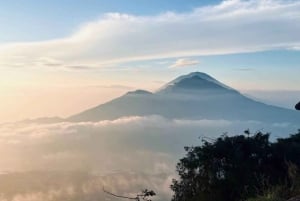 Fiske på Bali med traditionell båt